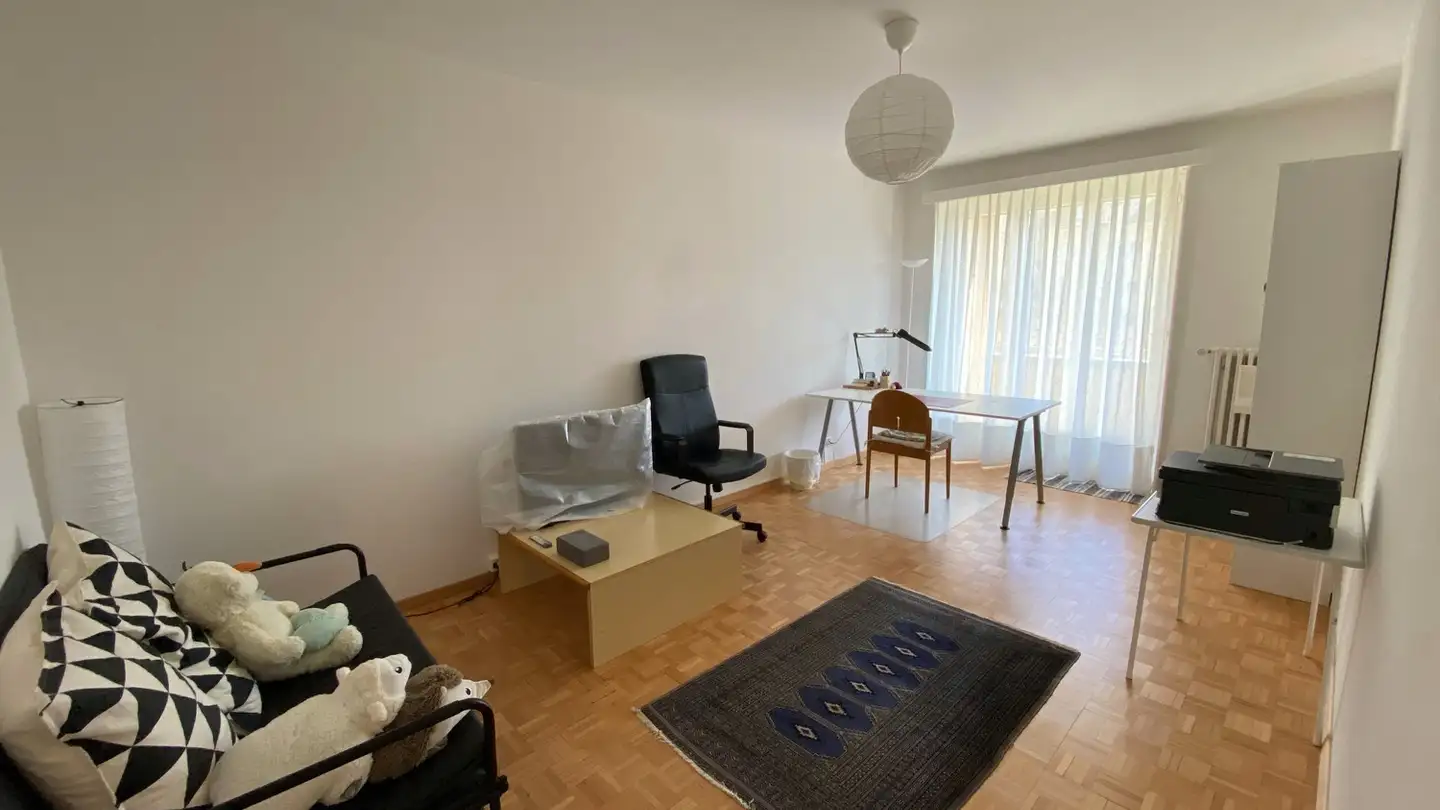 Appartamento in affitto - Effingerstrasse 111, 3008 Bern