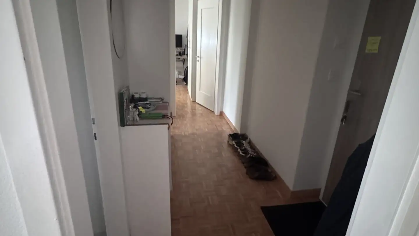 Appartamento in affitto - Schwalmenackerstrasse 19, 8400 Winterthur - Foto 3