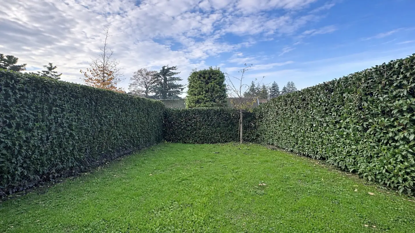 Casa singola in affitto - 1218 Le Grand-Saconnex - Foto 2