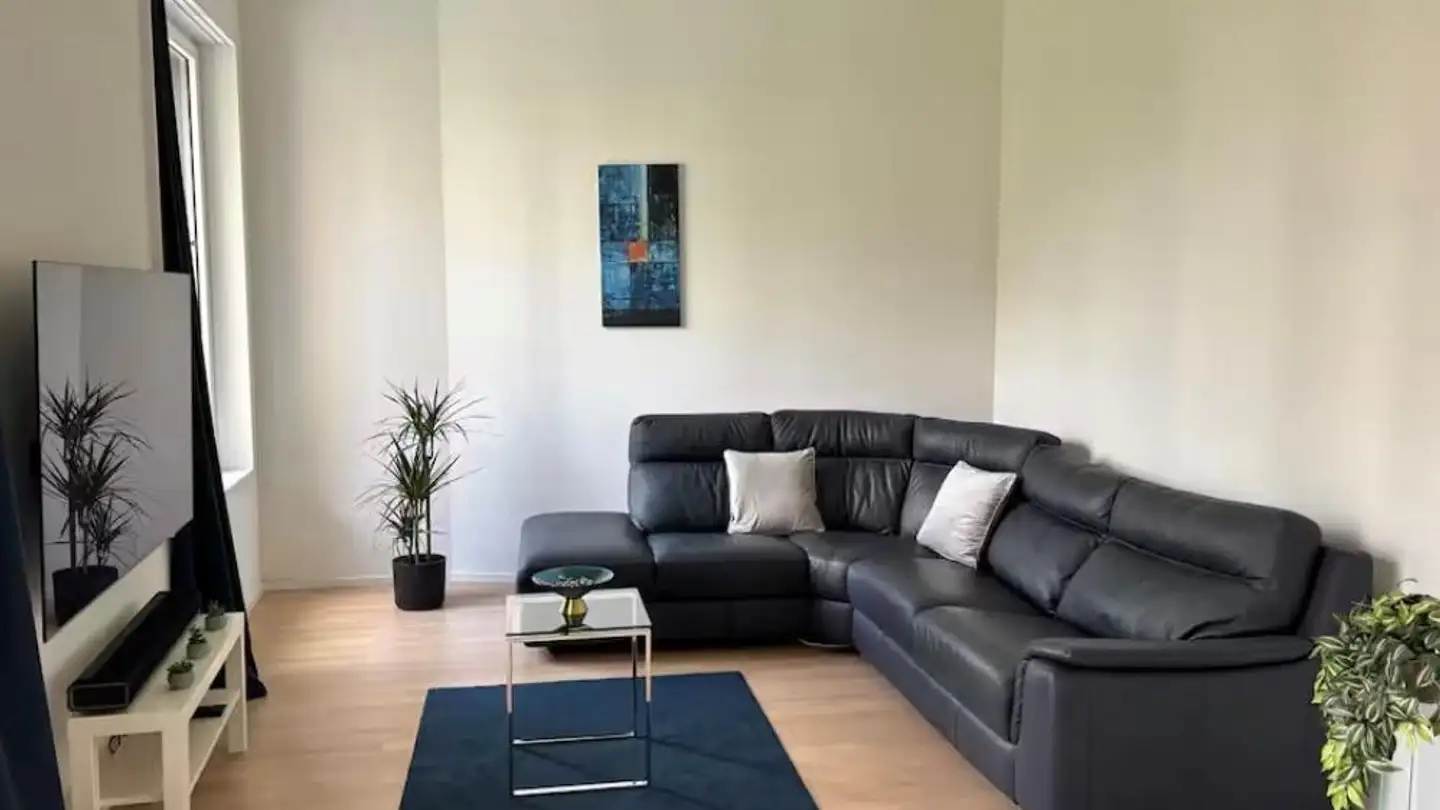 Furnished apartment for rent - Fröschgasse 5, 4054 Basel