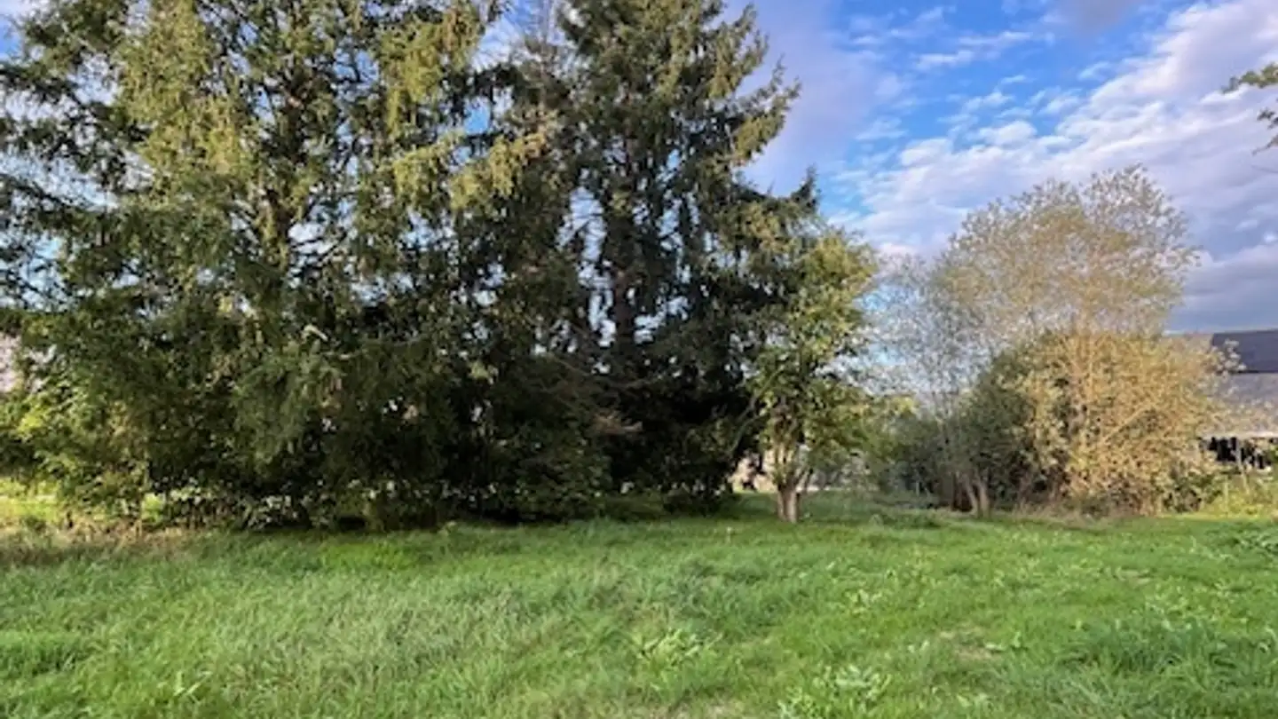 Terreno edificabile in vendita - 2830 Courrendlin