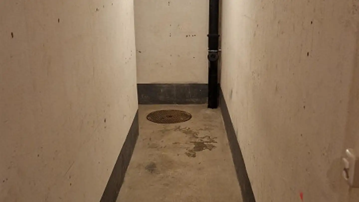 Spazio di archiviazione in affitto - Holeeholzweg 69, 4102 Binningen - Photo 3