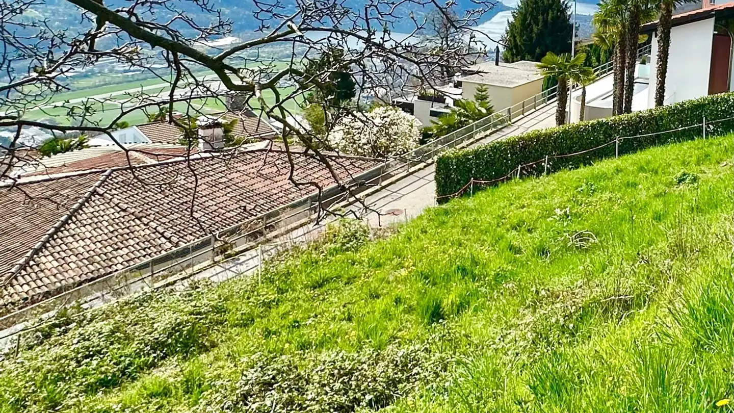 Constructible plot for sale - 6936 Cademario - Photo 2