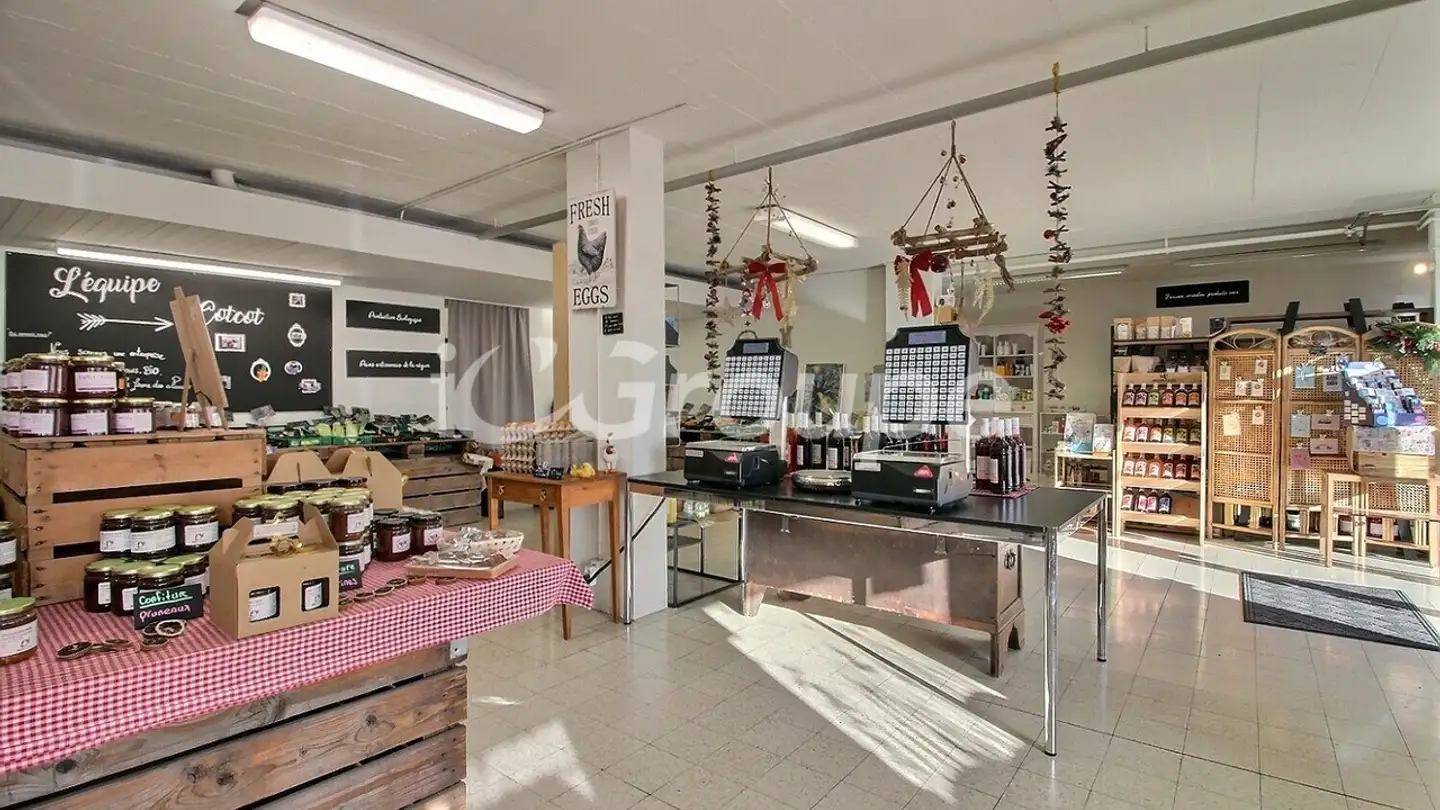 Commercial for rent - Avenue De France 50, 1950 Sion