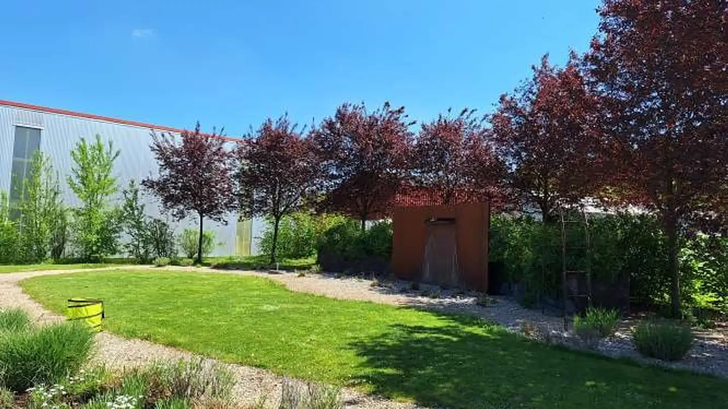 Einfamilienhaus kaufen - Industrieweg 7, 4653 Obergösgen - Foto 4