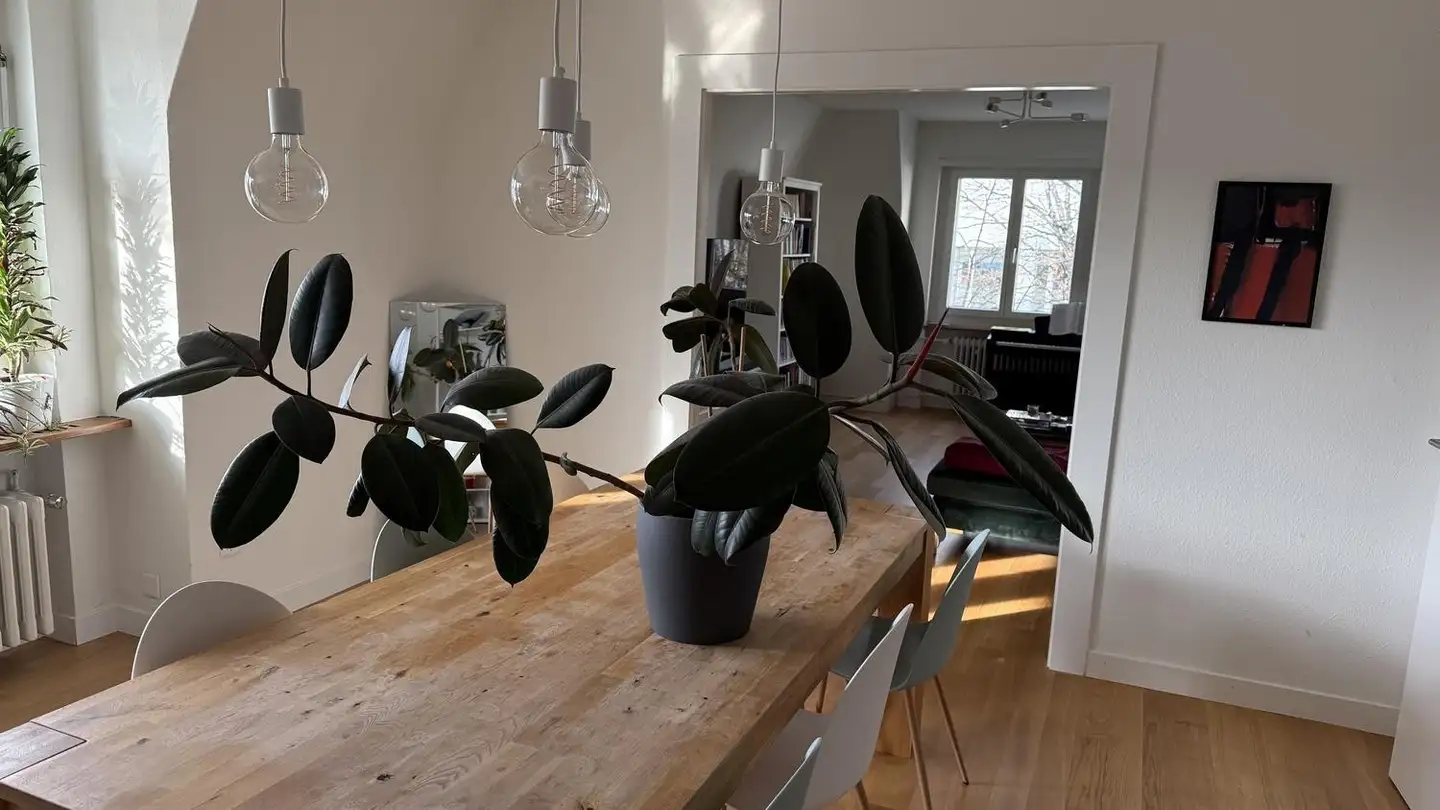 Wohnung mieten - Rankstrasse 6, 8032 Zürich - Foto 2