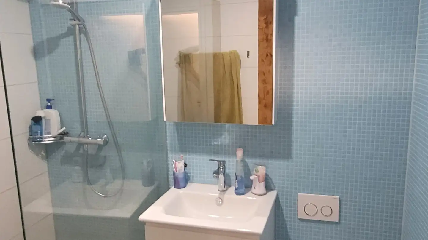 Appartamento in affitto - Rechengasse 1, 5620 Bremgarten AG - Foto 4