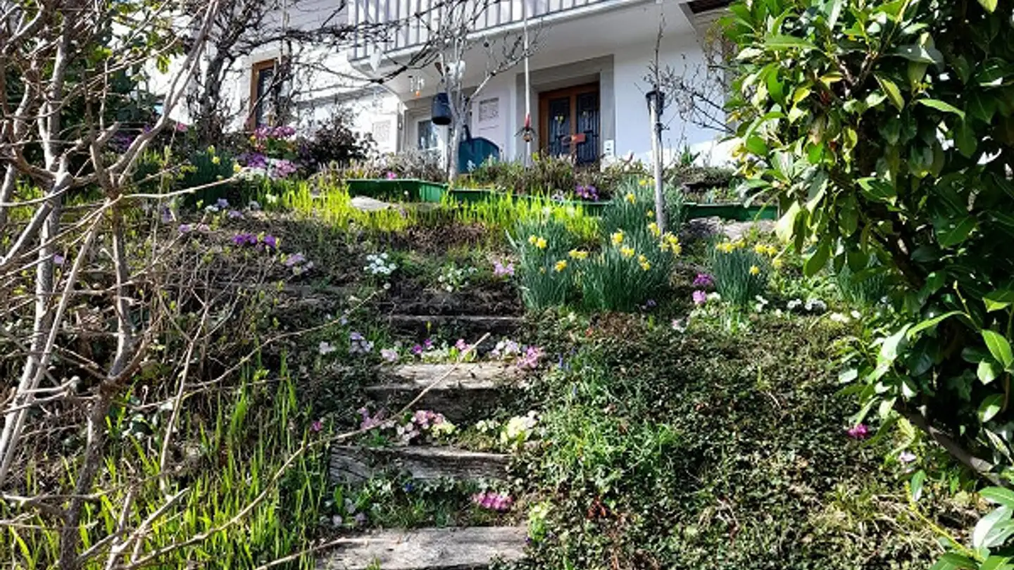 Einfamilienhaus kaufen - Wachthügel 117, 9428 Walzenhausen