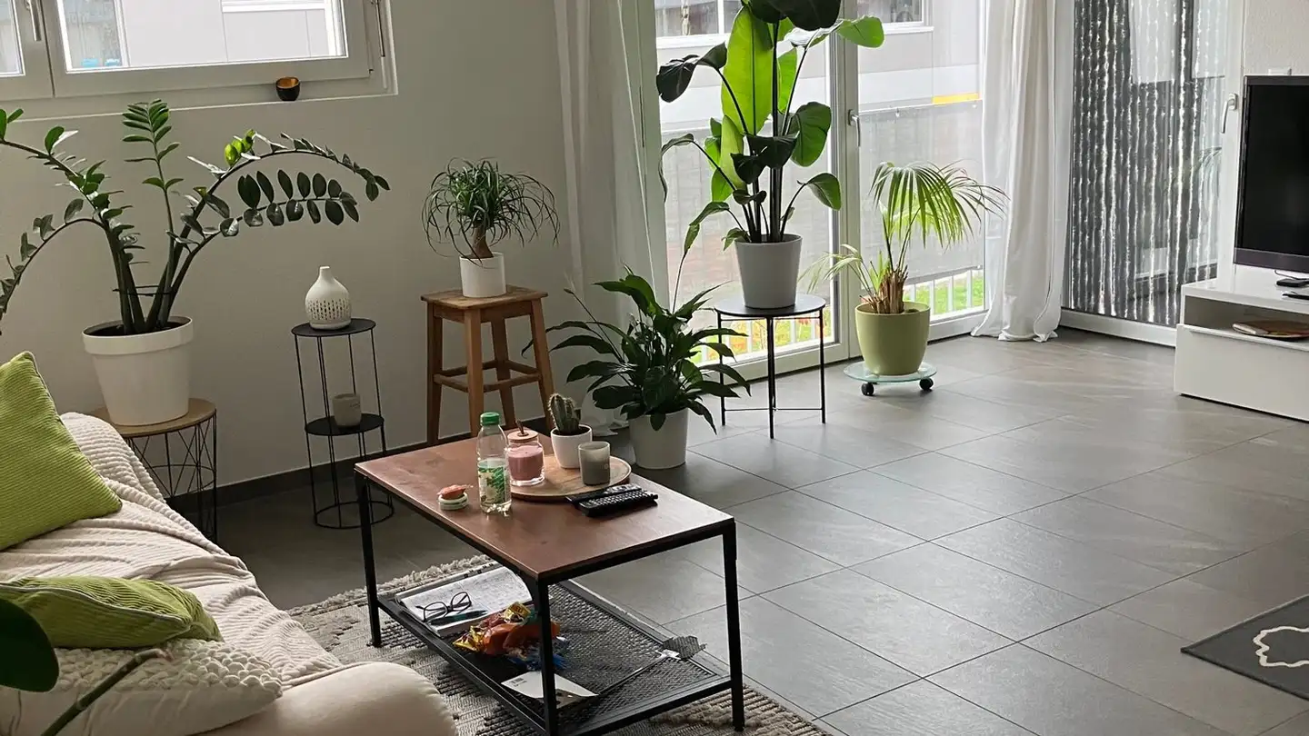 Wohnung mieten - 5722 Gränichen