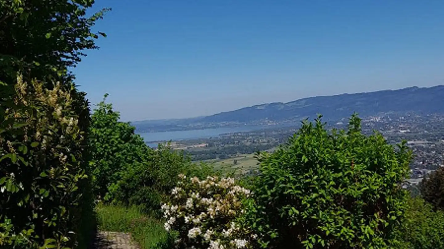 Casa singola in vendita - Wachthügel 117, 9428 Walzenhausen - Photo 3