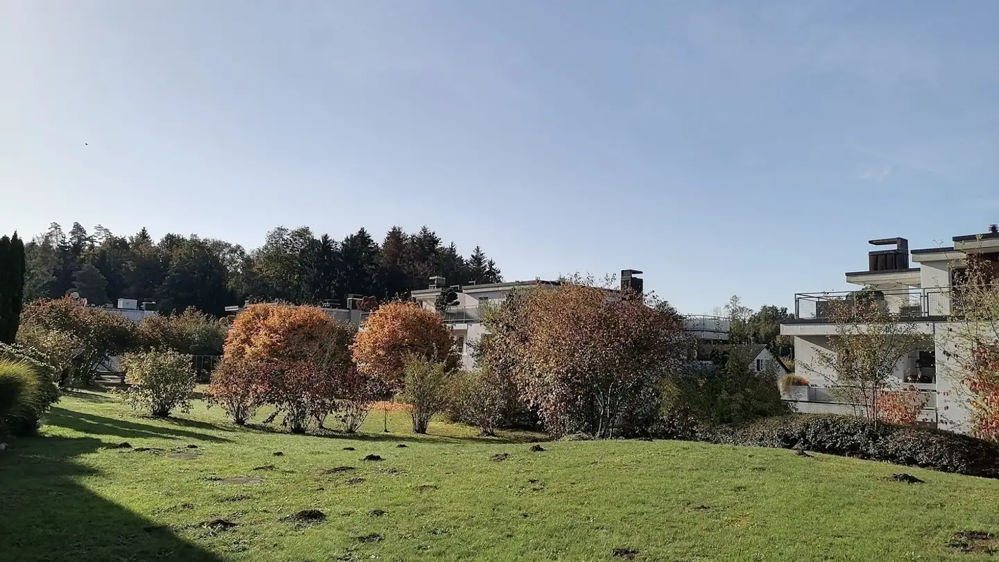 Stanza singola in affitto - Rütistrasse, 8903 Birmensdorf ZH - Photo 2