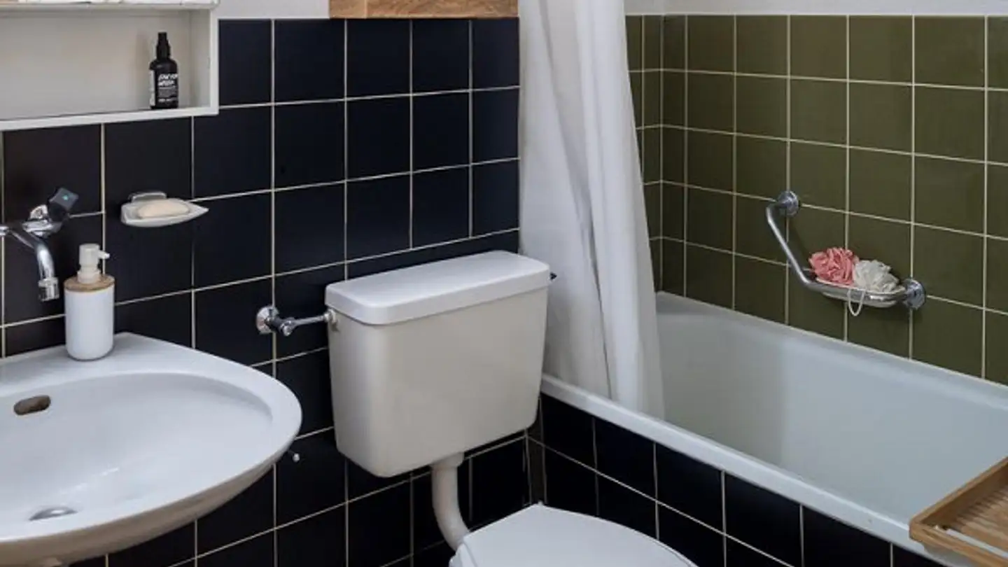 Appartement à louer - Luegislandstrasse 84, 8051 Zürich - Photo 2