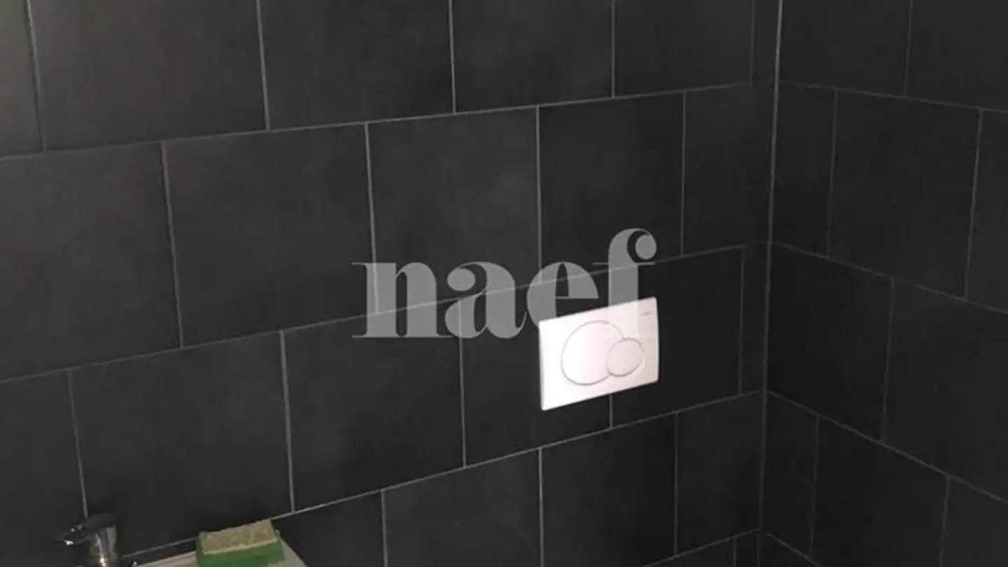 Edificio ad uso misto in affitto - Route De Soleure 3, 2072 St-Blaise - Photo 3