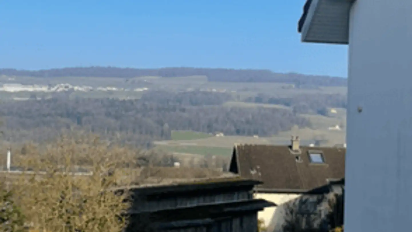 Casa singola in vendita - 5525 Fischbach-Göslikon - Photo 4