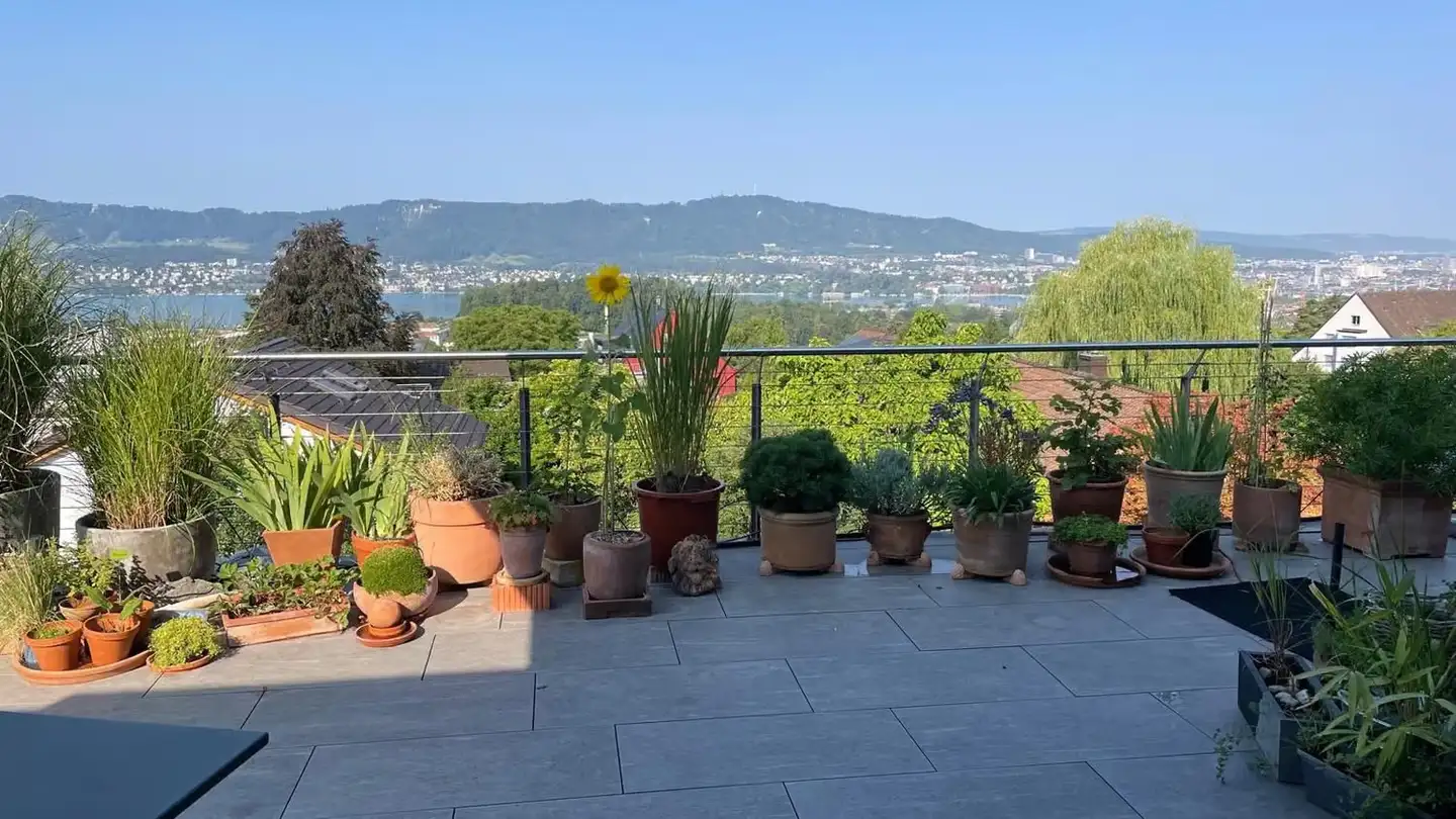 Penthouse mieten - 8053 Zürich