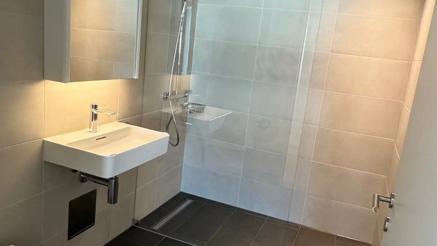 Wohnung kaufen - Im Rhytech 3, 8212 Neuhausen am Rheinfall - Foto 2