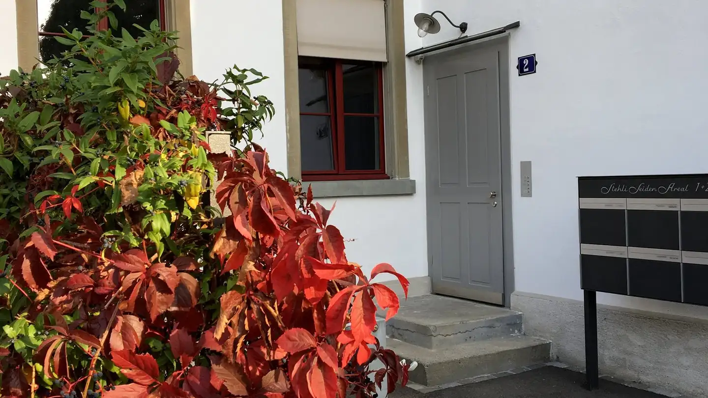 Laboratorio in affitto - Stehli-Seiden-Areal 2, 8912 Obfelden