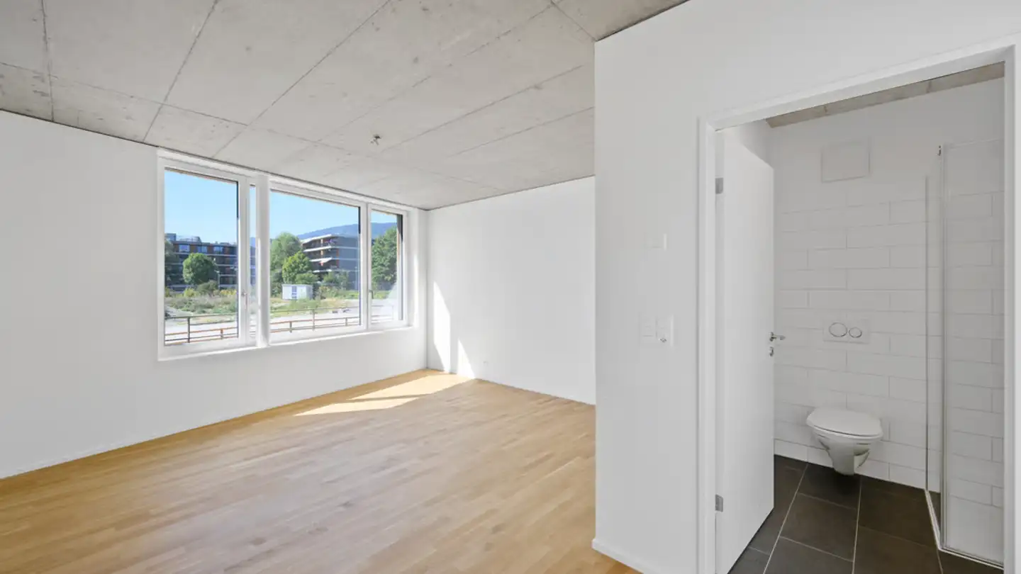 Studio à louer - Rue Des Cygnes / Schwanengasse 11, 2503 Biel/Bienne