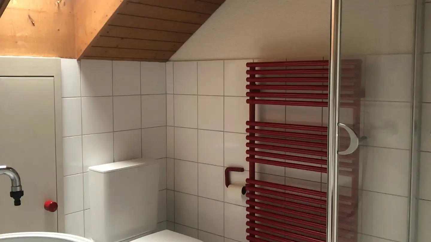 Attic flat for rent - Rheinhof 9, 8200 Schaffhausen - Photo 3