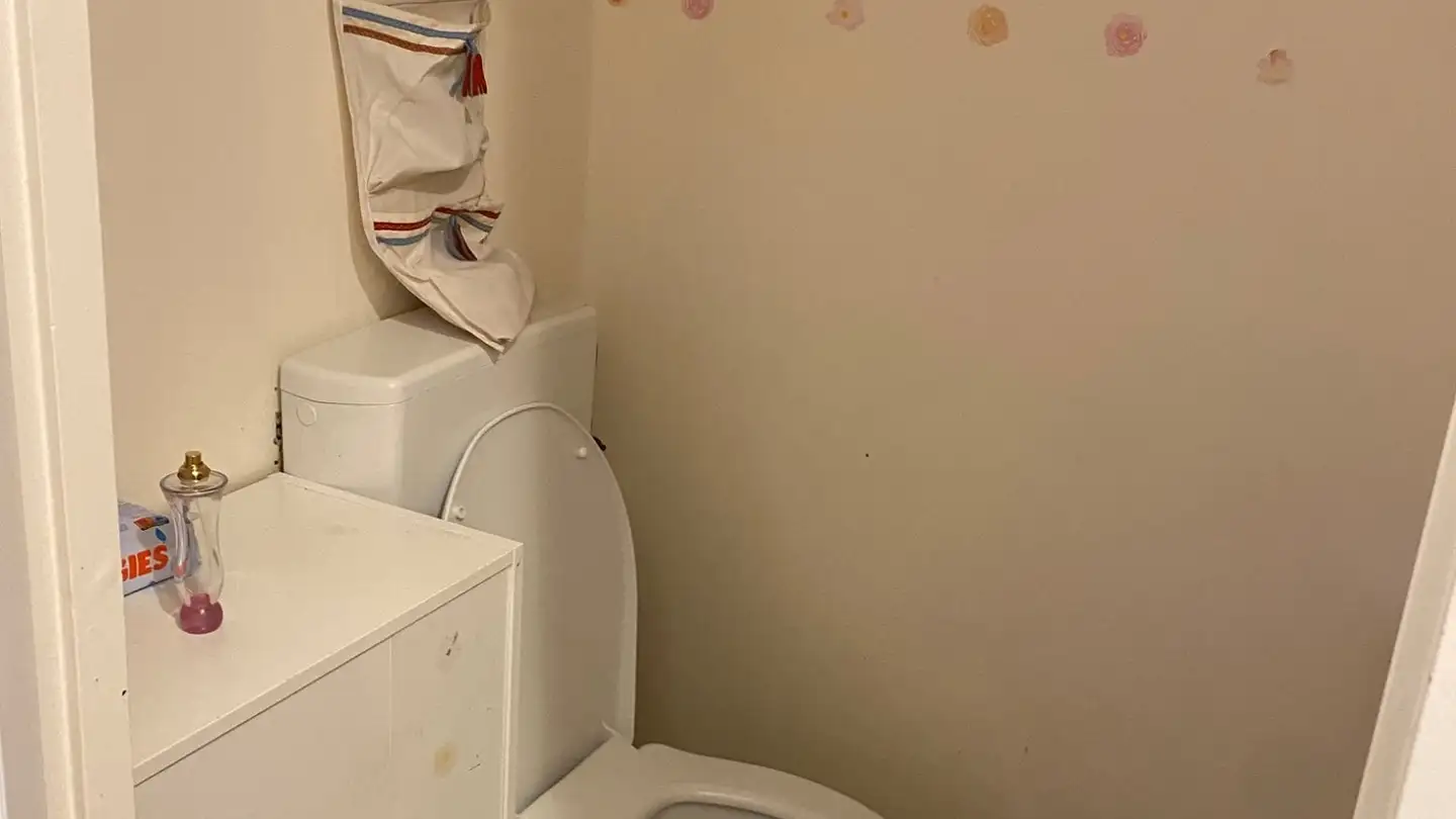 Appartement à louer - Chemin De Trèfle-Blanc 16, 1228 Plan-les-Ouates - Photo 3