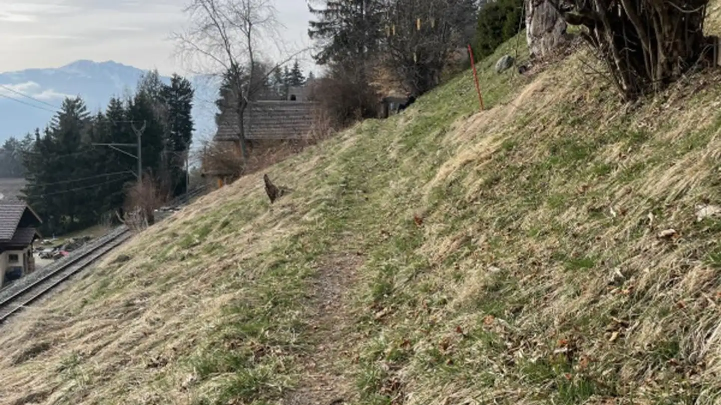 Terreno edificabile in vendita - 1882 Gryon - Photo 3