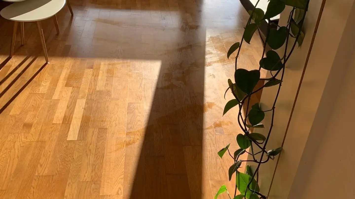 Zimmer mieten - Rütistrasse, 8903 Birmensdorf ZH