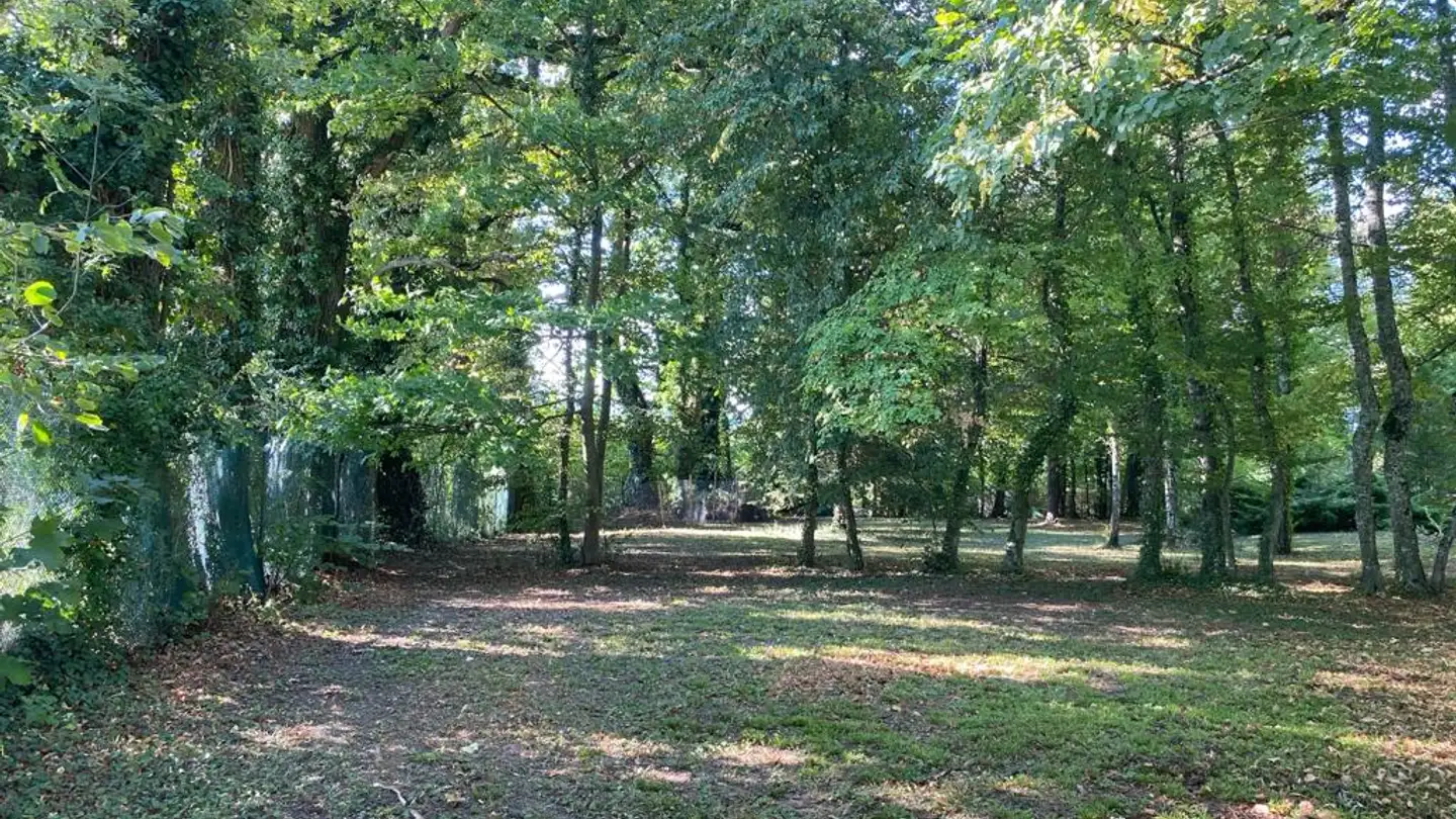 Maison individuelle à vendre - 1294 Genthod