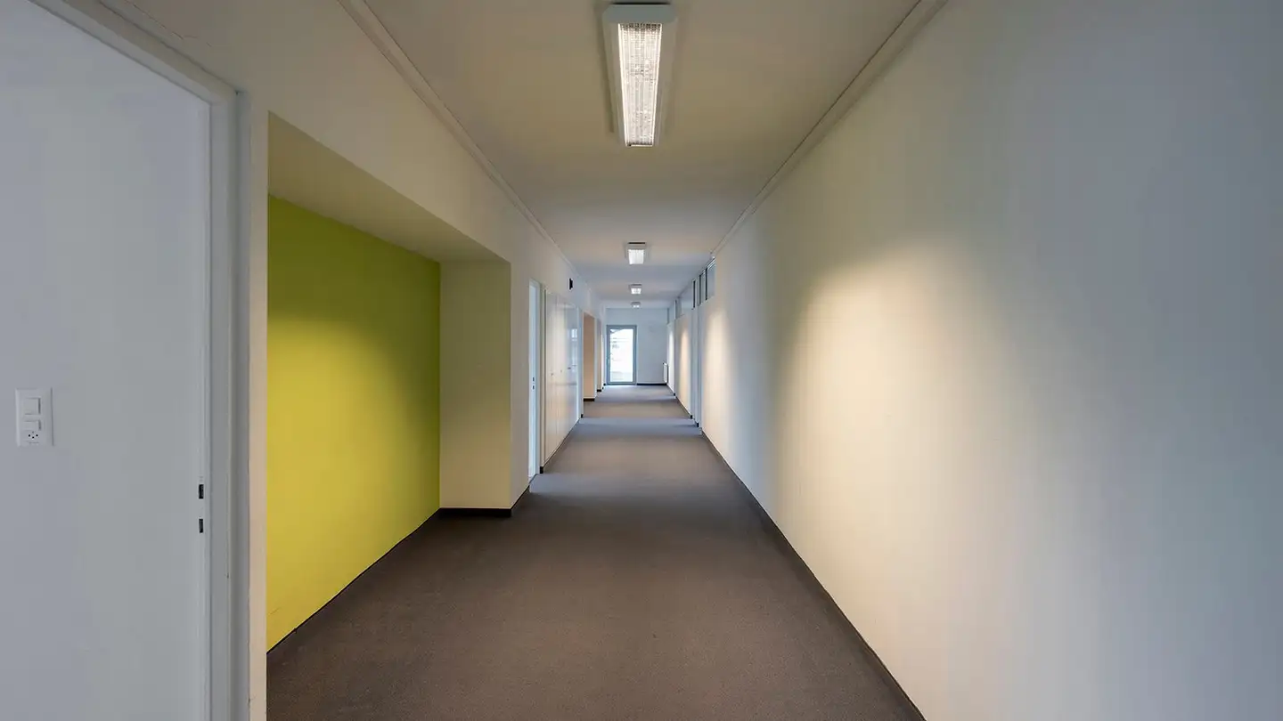 Bureau à louer - Unterrohrstrasse 3, 8952 Schlieren - Photo 3