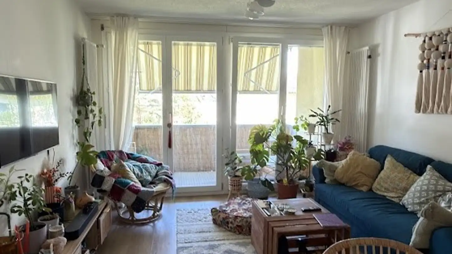 Appartement à louer - Meierwiesenstrasse 18, 8064 Zürich