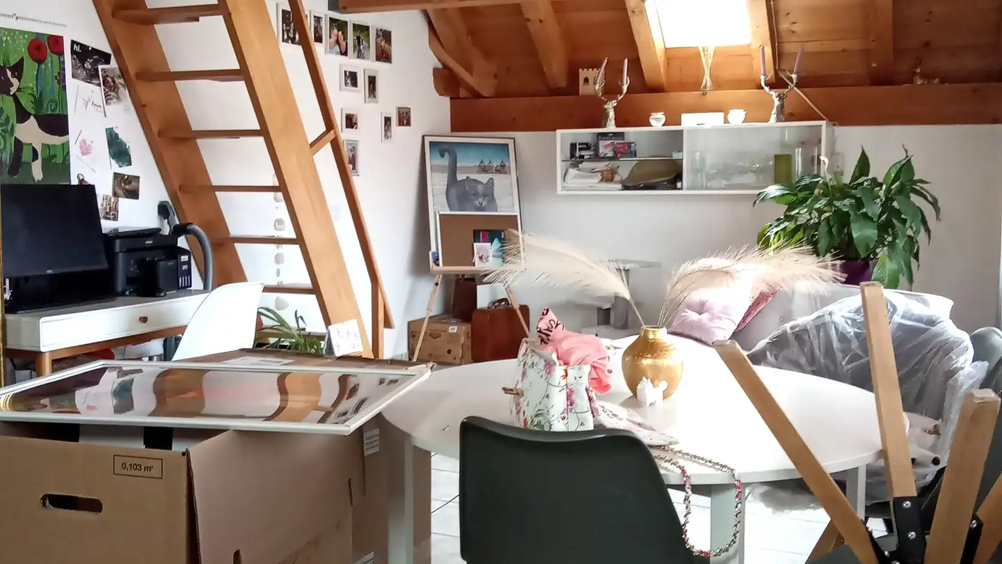 Duplex à louer - Dorfstrasse 56, 3234 Vinelz