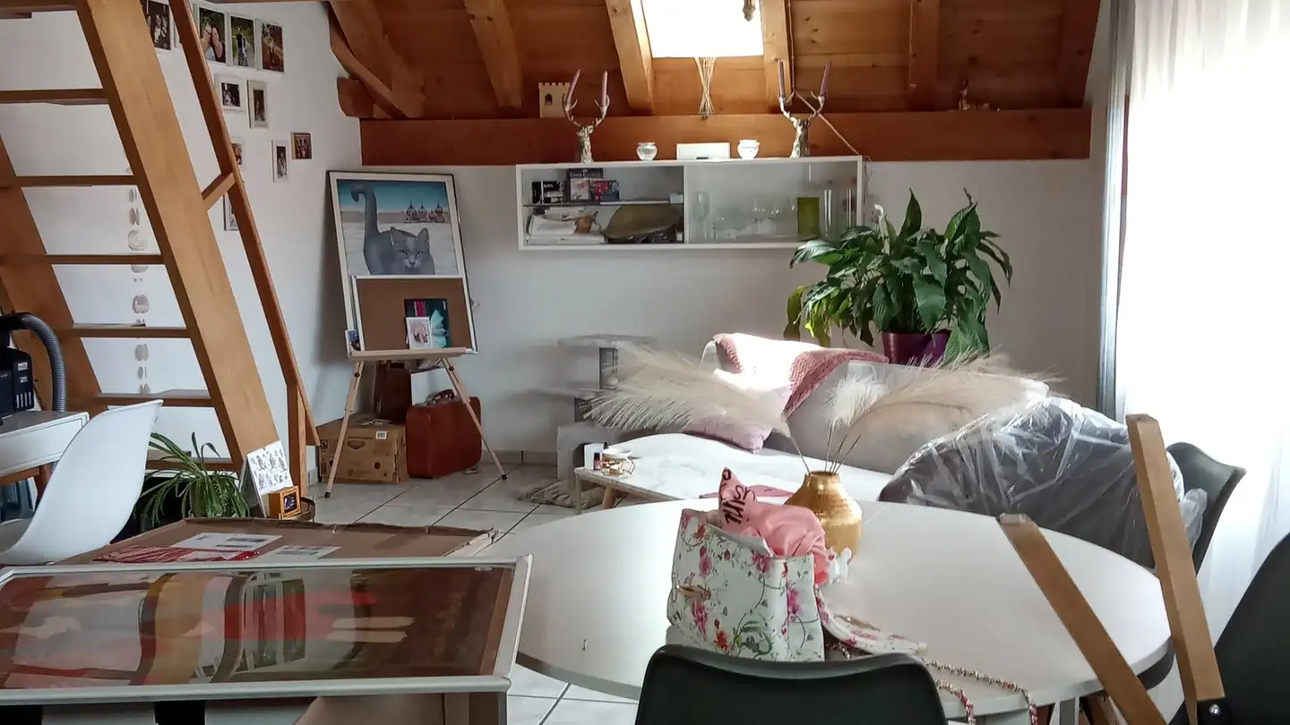 Duplex à louer - Dorfstrasse 56, 3234 Vinelz - Photo 2