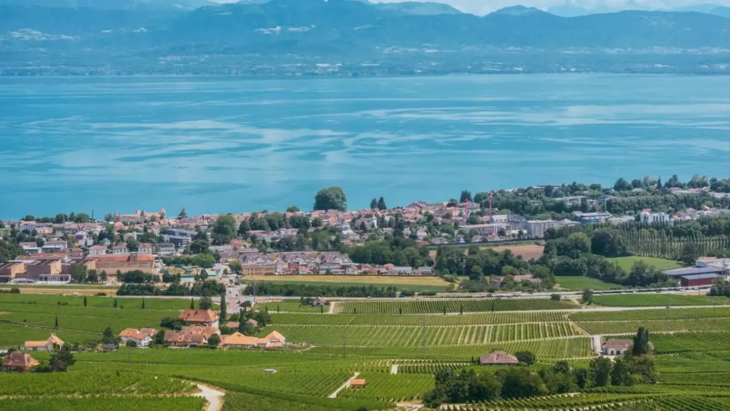 Single house for sale - 1180 Rolle - Photo 4