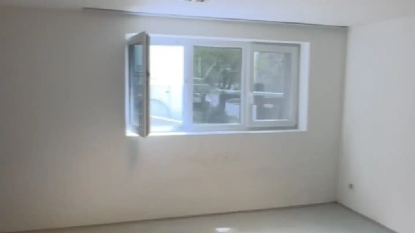 Commercial à louer - Heidenlochstrasse, 4410 Liestal - Photo 2