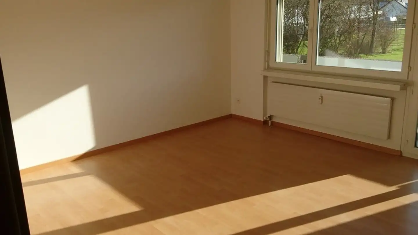Wohnung mieten - Amriswilerstrasse 57, 9314 Steinebrunn - Foto 2