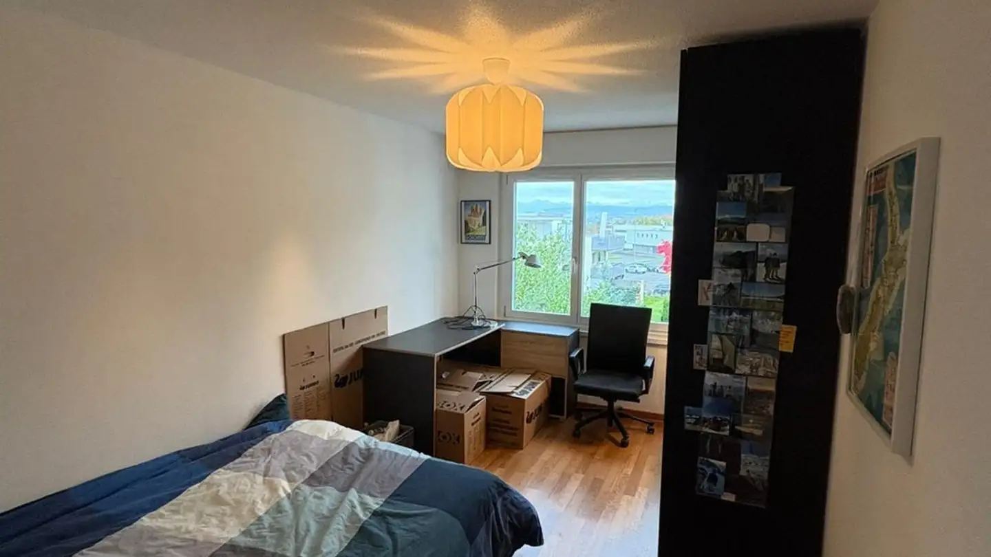 Single room for rent - Frauentalweg 117, 8045 Zürich