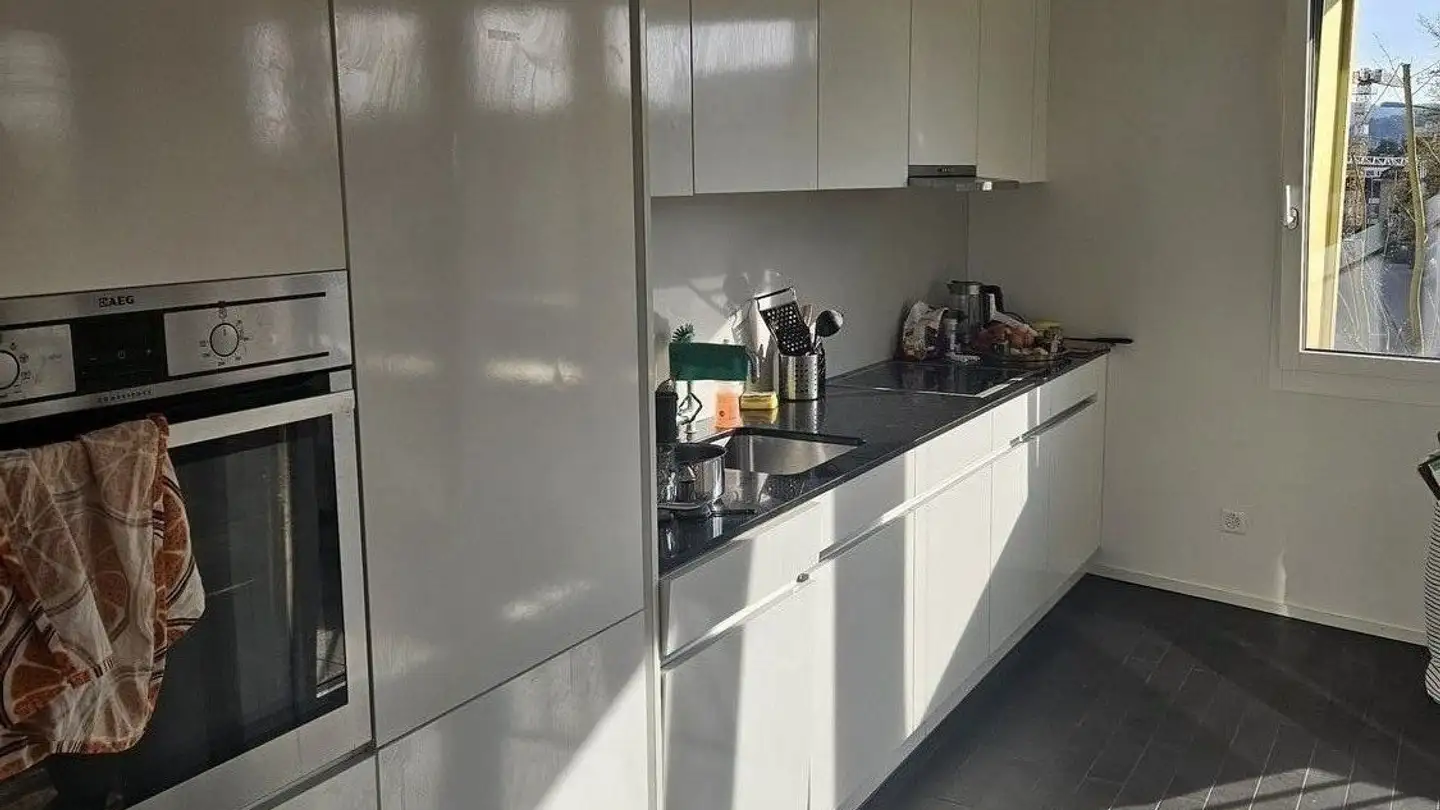 Chambre à louer - 8052 Zürich - Photo 3