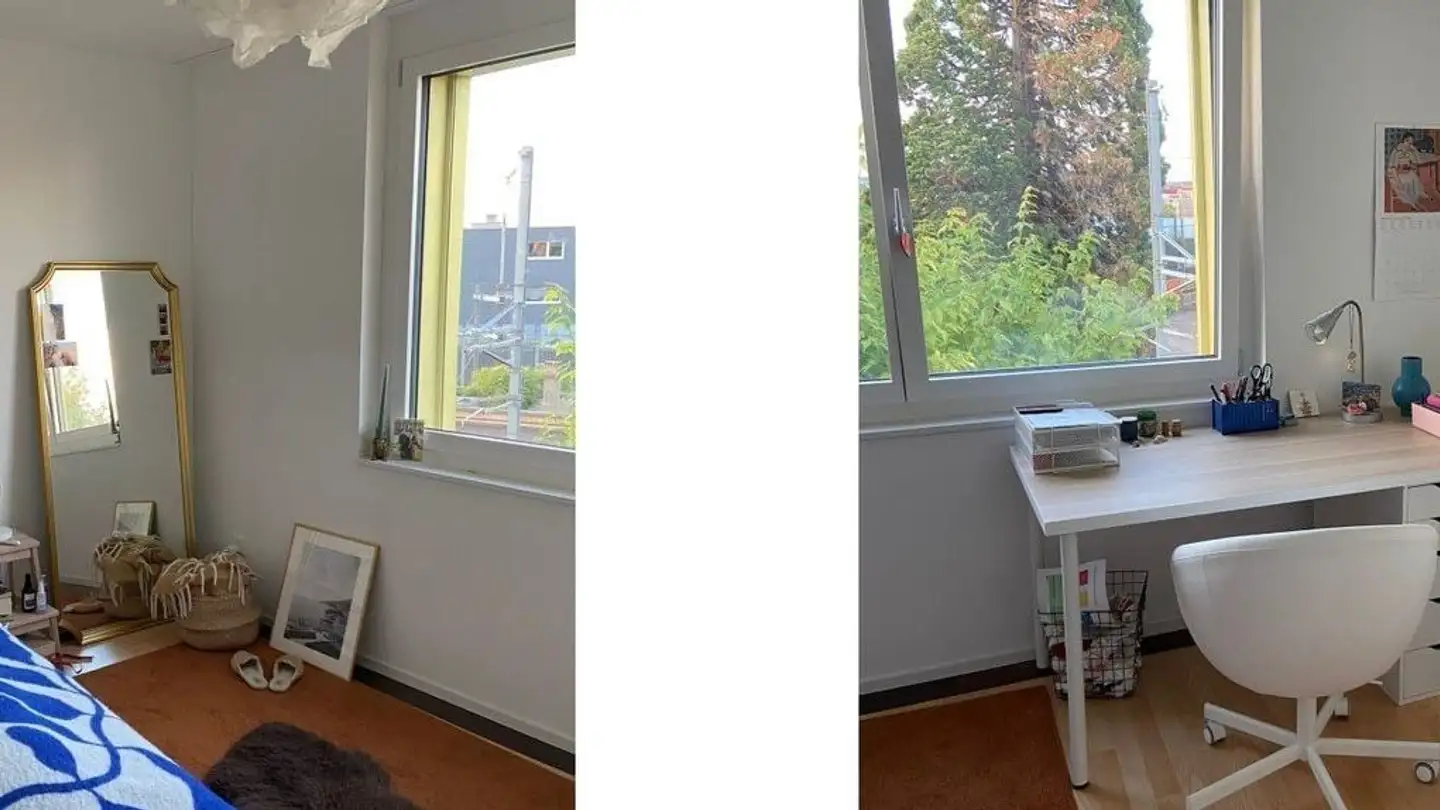 Chambre à louer - 8052 Zürich - Photo 4