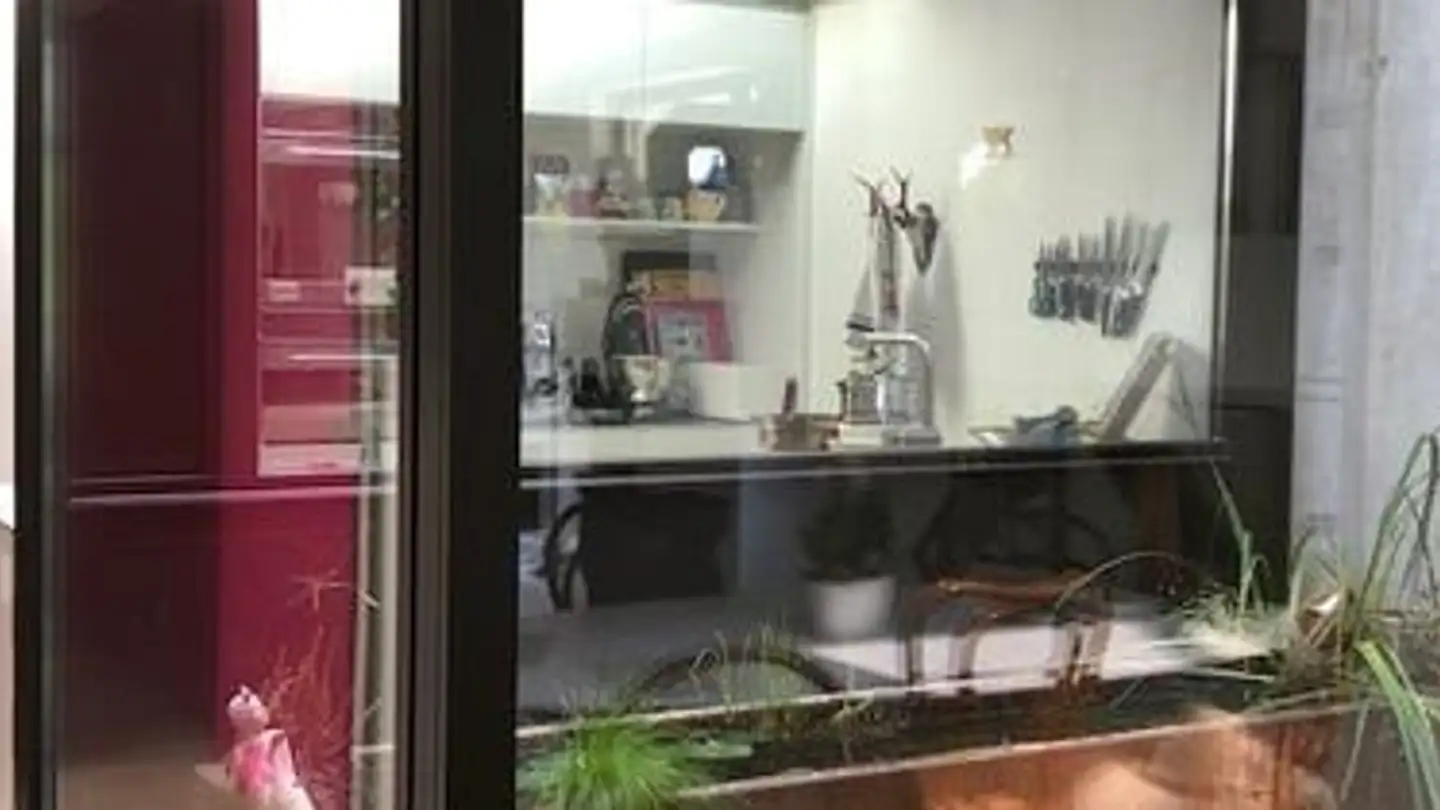 Single house for rent - Im Kaspar 5, 4142 Münchenstein - Photo 4