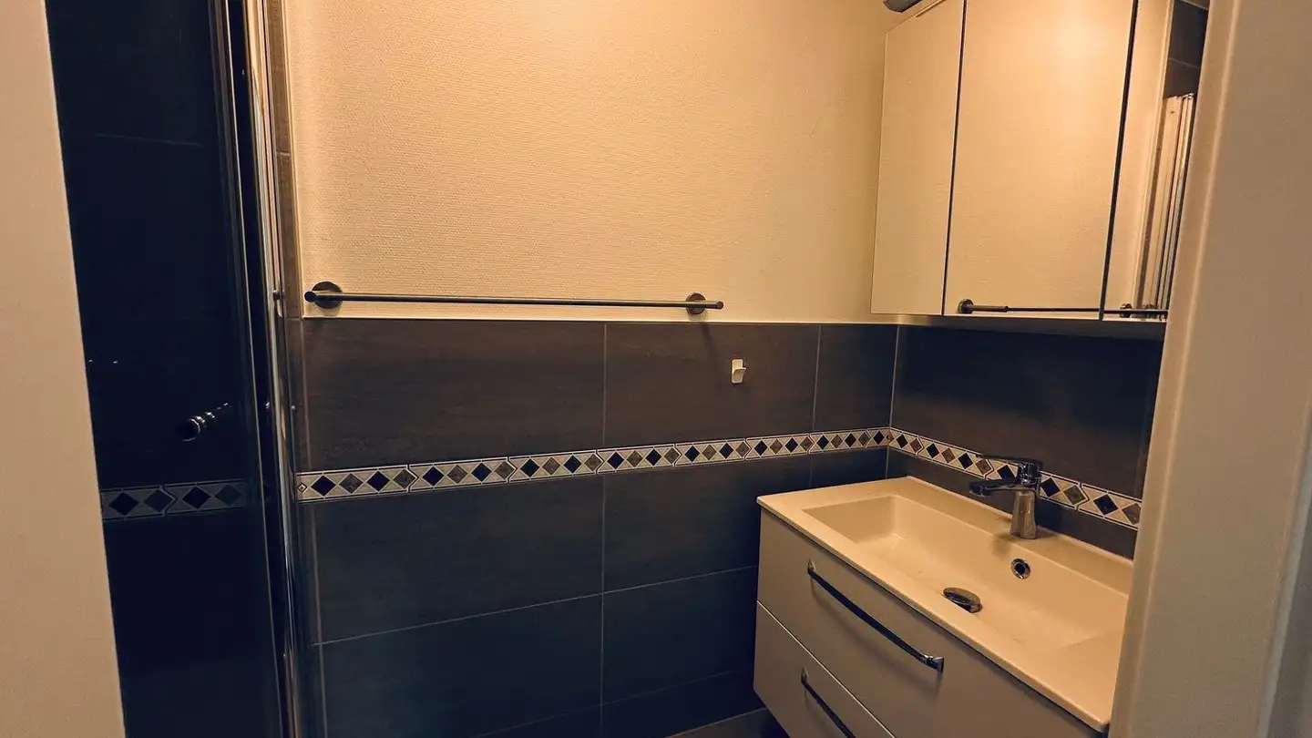 Appartamento in affitto - Le Grand-Chemin, 1066 Epalinges - Foto 4