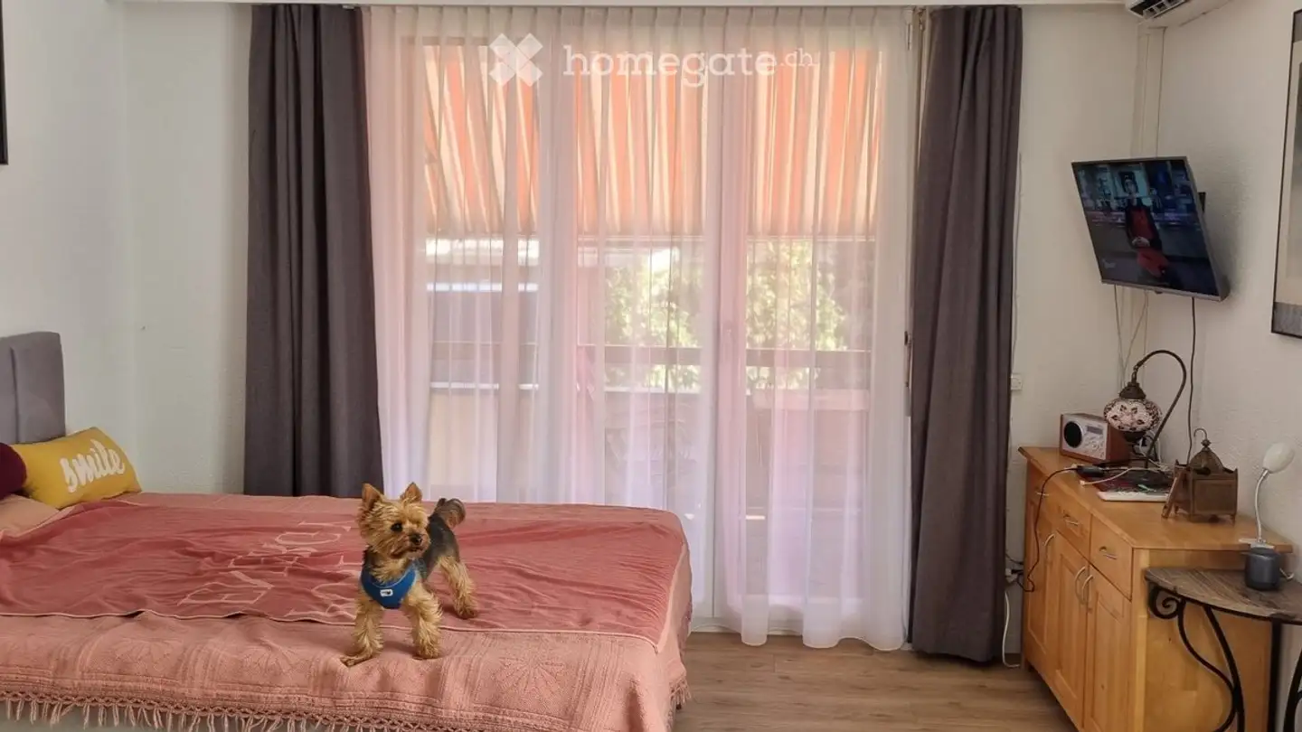 Appartamento in affitto - Via Alle Scuole 34, 6595 Riazzino - Foto 2