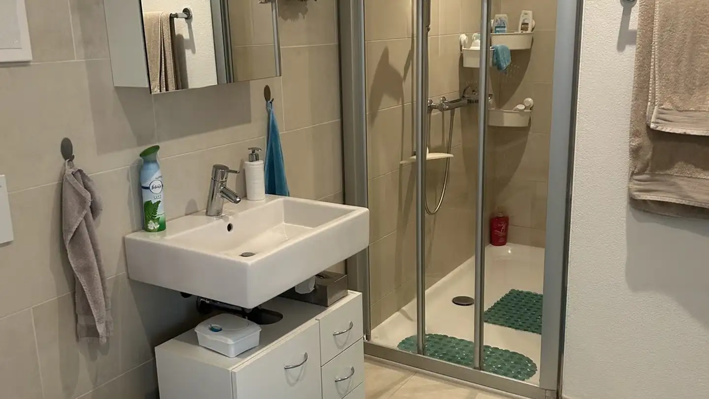 Furnished apartment for rent - 6034 Inwil - Photo 3