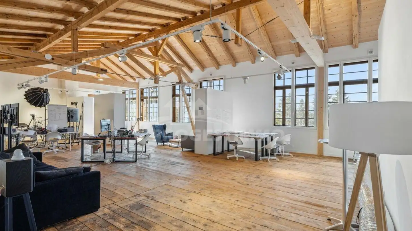 Geschäft kaufen - 1863 Le Sépey - Foto 3