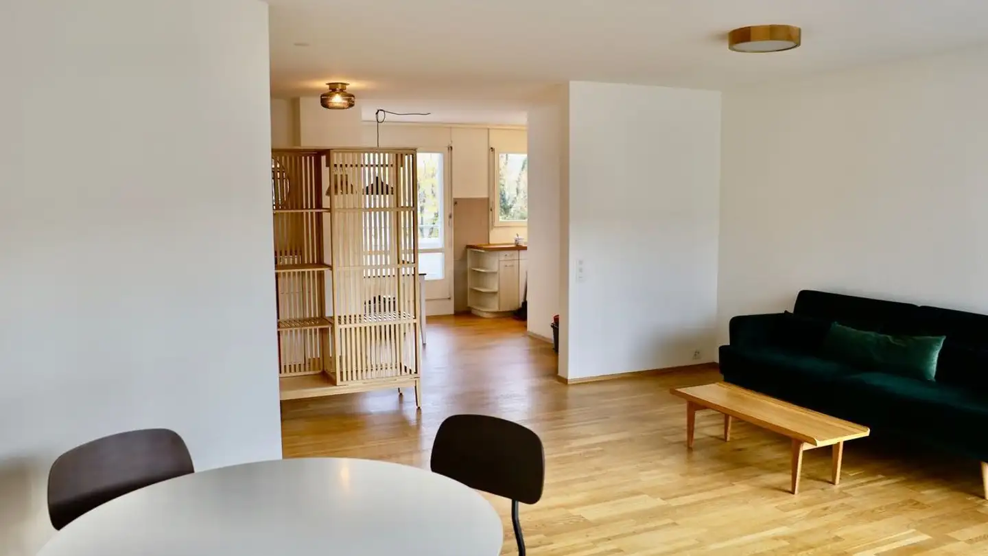 Stepped apartment for rent - Im Tiergarten 48, 8055 Zürich