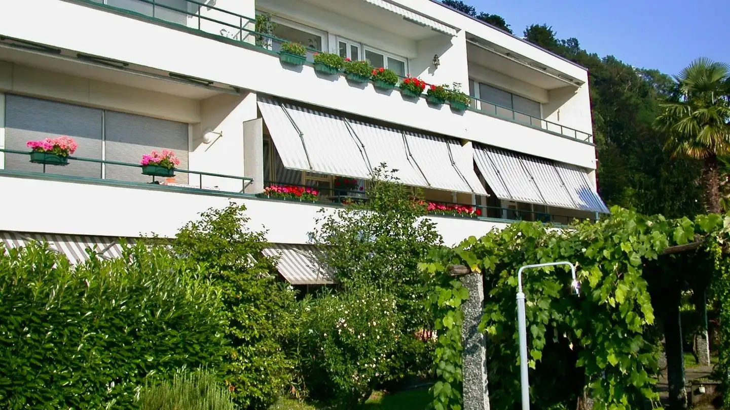 Loft in affitto - Via Fiorita 4f, 6977 Ruvigliana - Photo 3