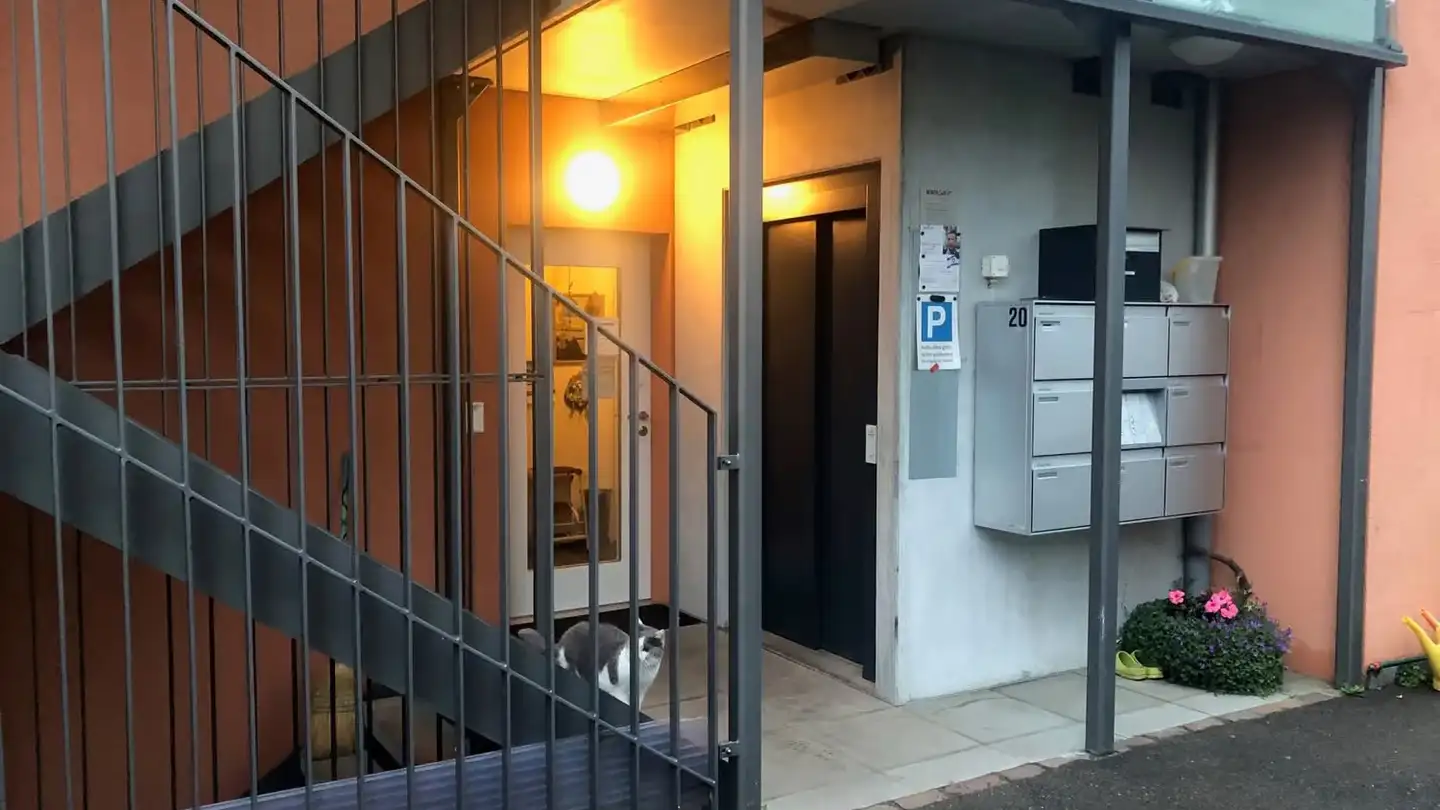 Commerciale in affitto - Seestrasse 20, 8610 Uster - Foto 3