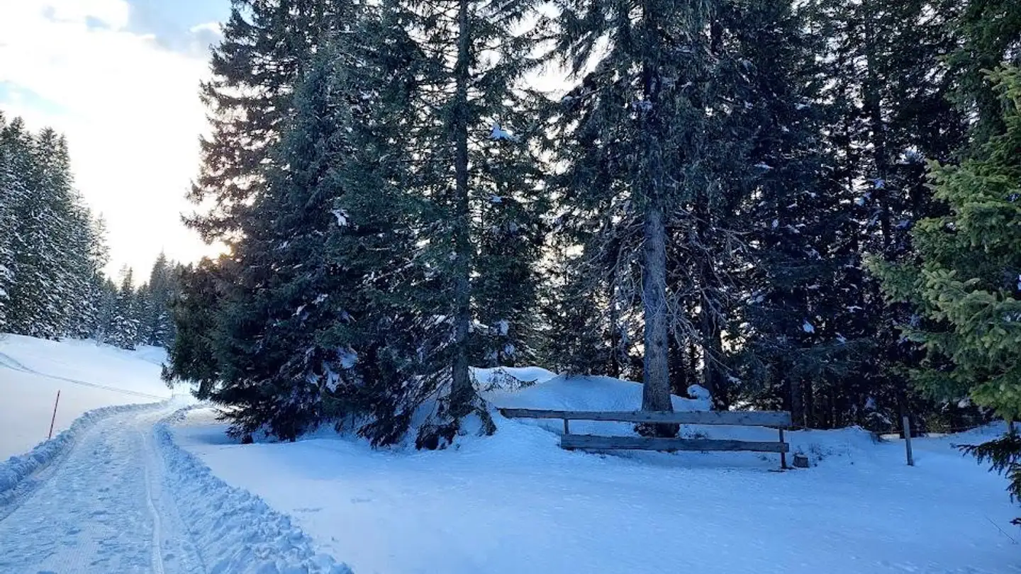 House for rent - 7232 Furna - Photo 3