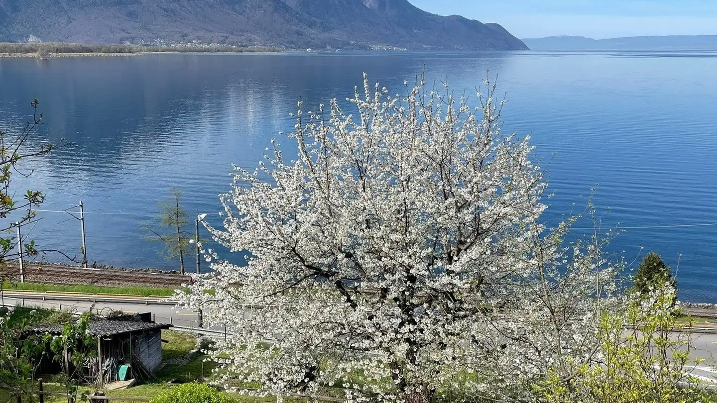 Apartment for rent - Chemin De Plan-Manon 1, 1820 Veytaux