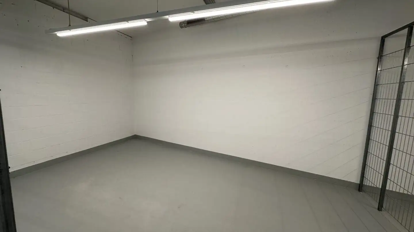 Hobby room for rent - Inseliquai 12a, 6005 Luzern - Photo 3