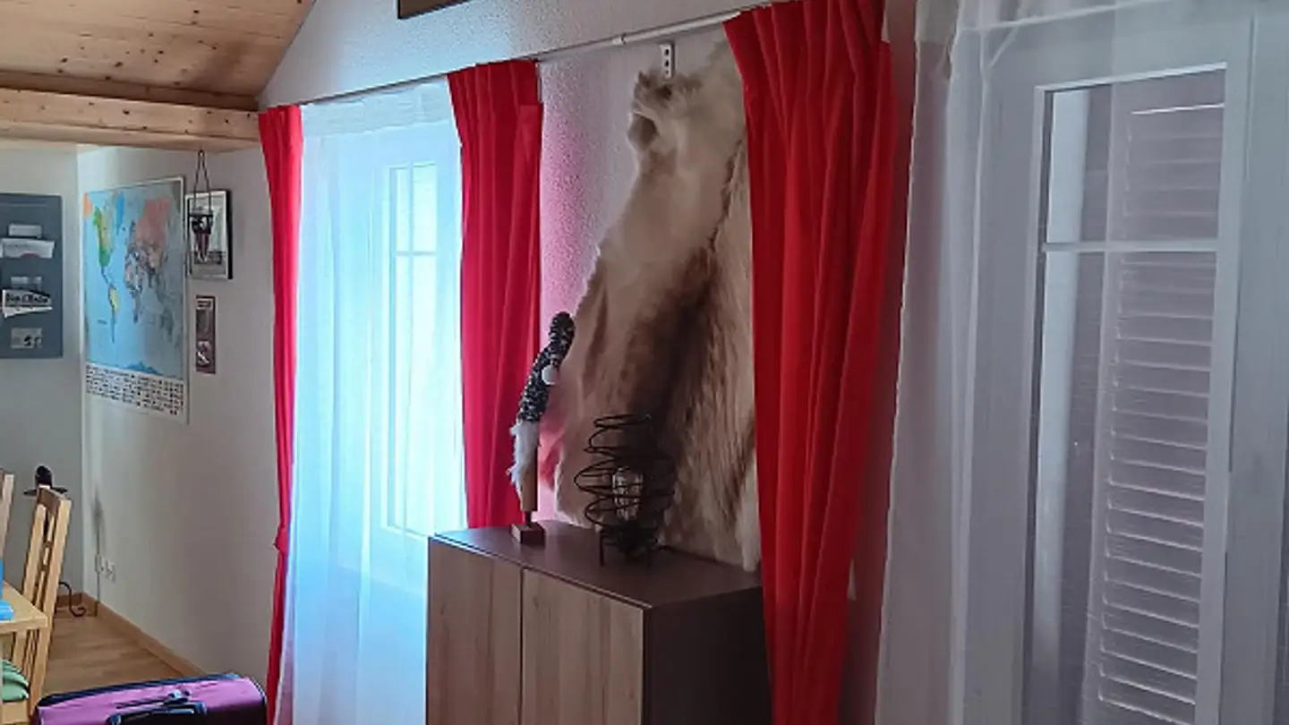 Appartement à louer - Magdenauerstrasse 19, 9230 Flawil - Photo 2