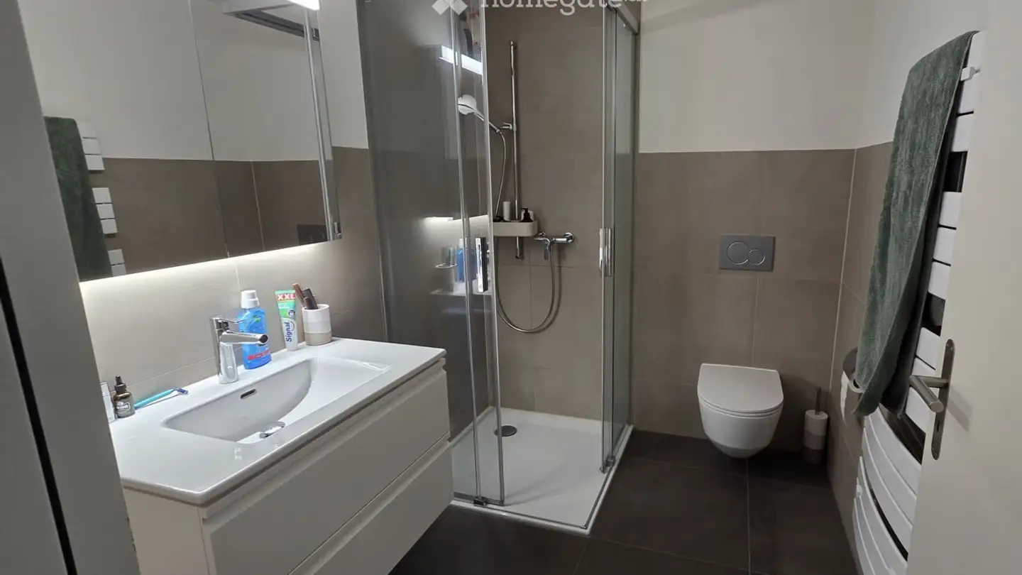 Appartamento in affitto - Hanflandstrasse 32, 8340 Hinwil - Foto 4